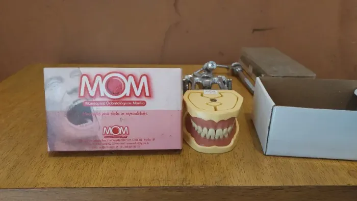 Manequim Odontológico