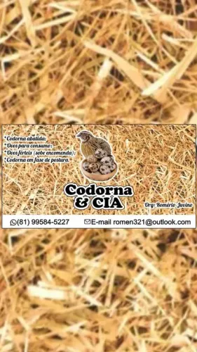 Trabalhamos com codorna e seus derivados, atacado e varejo.