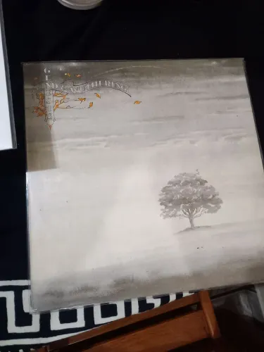 Genesis - Wind & Wuthering - Vinil