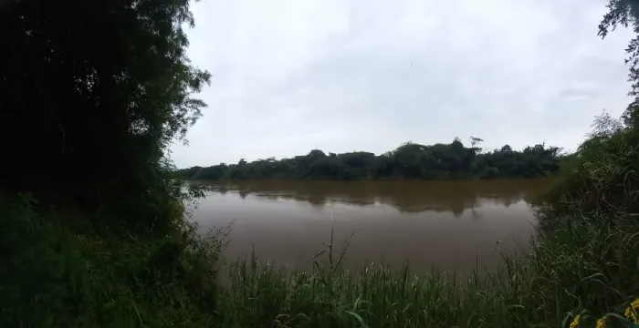 CHACARA BEIRA RIO EM TIBAGI