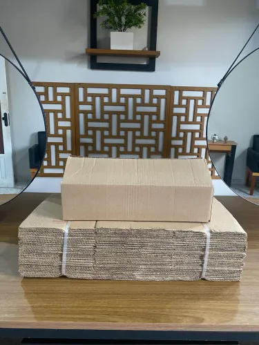 Caixas papelão 40x20x10 200uni