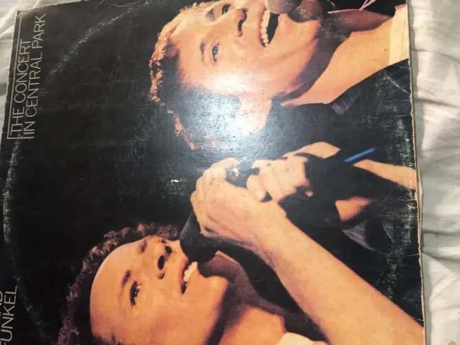 Disco de Vinil The Concert In Central Park - Funke