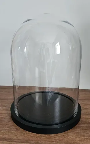 Cúpula de vidro com base preta para decoração