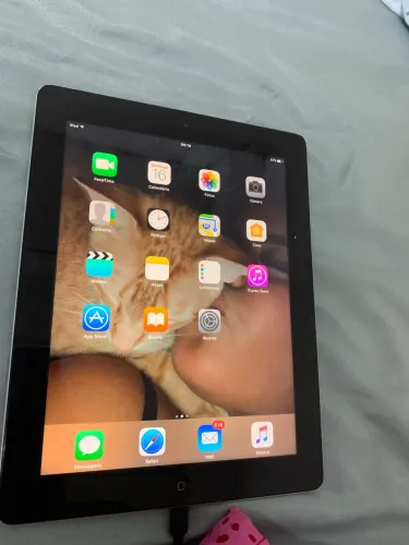iPad