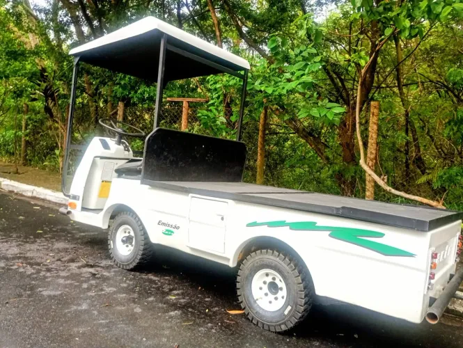 Carrinho elétrico carga jacto