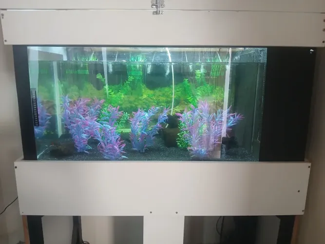 Vendo Aquário 250 Litros, Completo