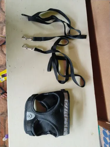 2 guia e 1 peitoral para pet