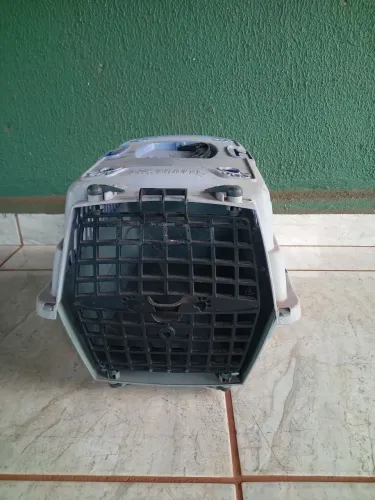 Casinha gato pequeno transporte