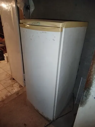 Freezer vertical