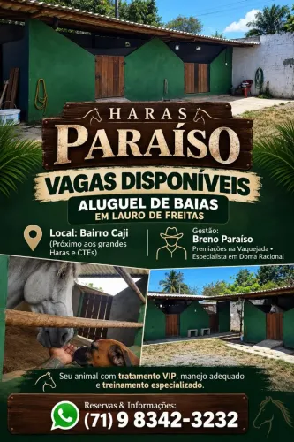 Aluguel de baias