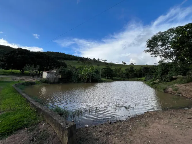 FAZENDA 135 HECTARES - TEÓFILO OTONI