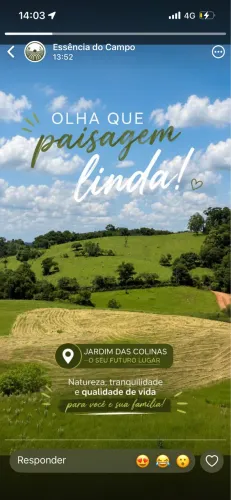 Aparecidinha