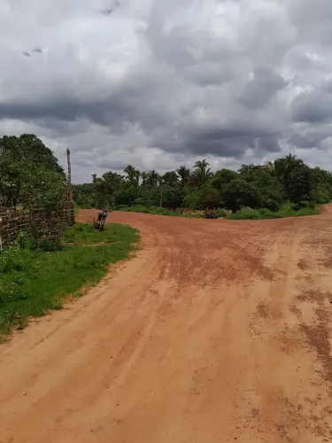 Terreno para sitio