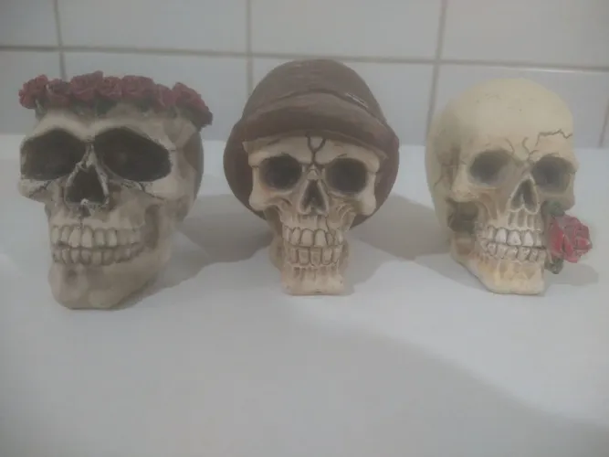 3 Crânio caveira em resina