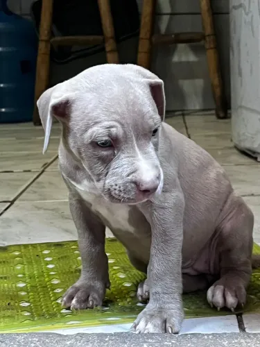 Pit monster