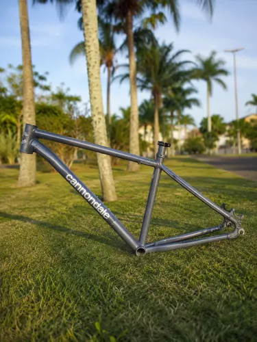 Quadro Cannondale Trail 6 Original Tamanho L Cinza Aro 29