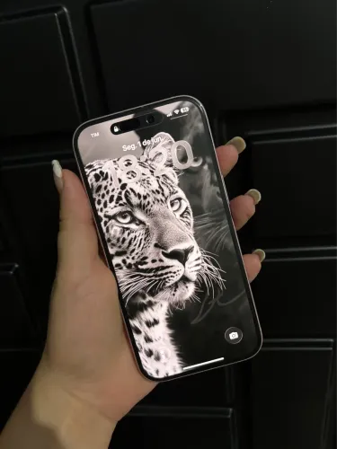 iPhone 15