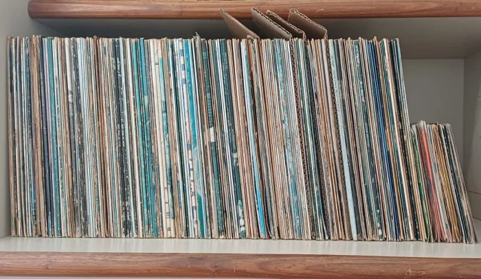 Coleção com quase 200 discos de vinil (LPs e compactos) - lote completo