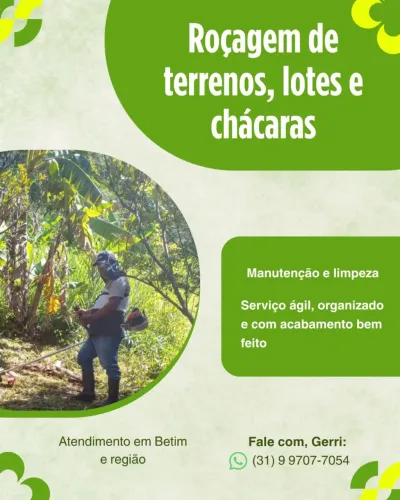 Roçagem de lotes, terrenos e outros