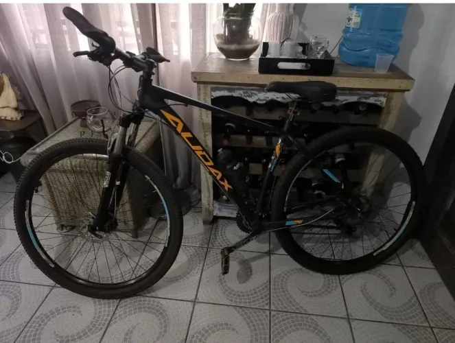 Bicicleta Audax