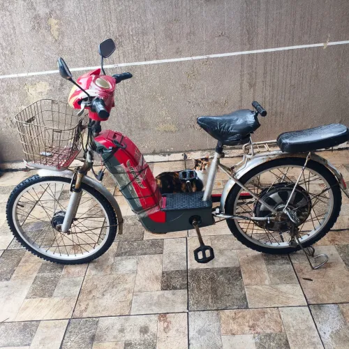 Bicicleta elétrica