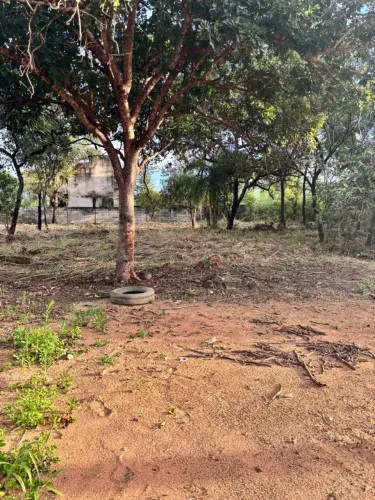 Lote localizado a 500 metros da Gaviões. O lote é bem grande 12X43,5