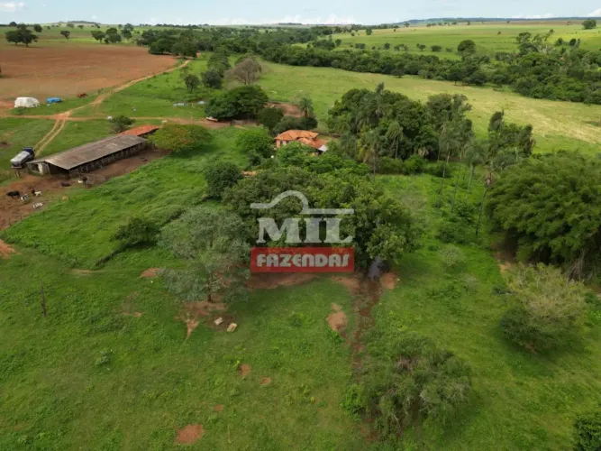 Fazenda 37,8 Alqueires ( 183.25 hectares ) Itumbiara - GO