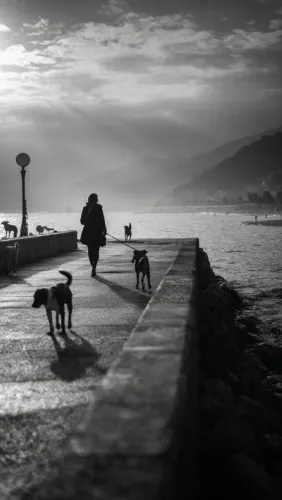 Passeio com seu Doguinho ?