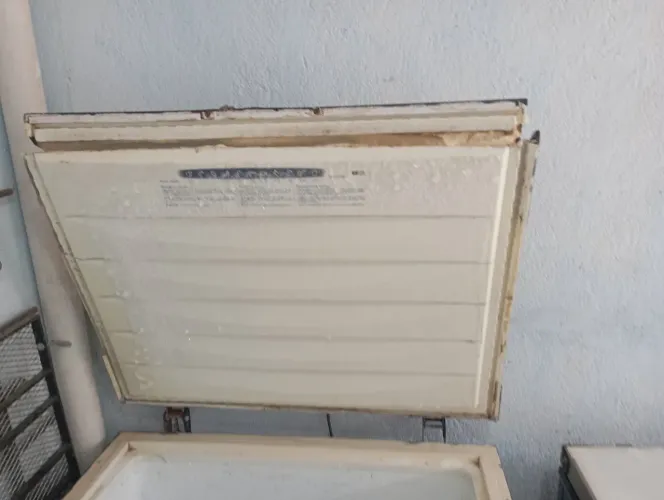 Freezer 110v