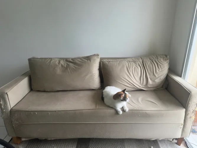 Sofá Estofado novo com marcas de gatos
