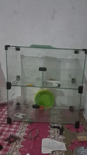 Vitrine bombom