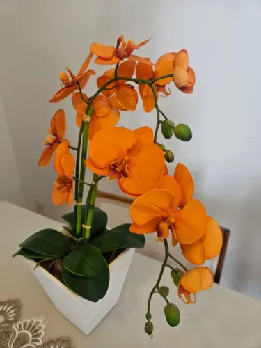 ORQUÍDEA perfeita. Acompanha vaso