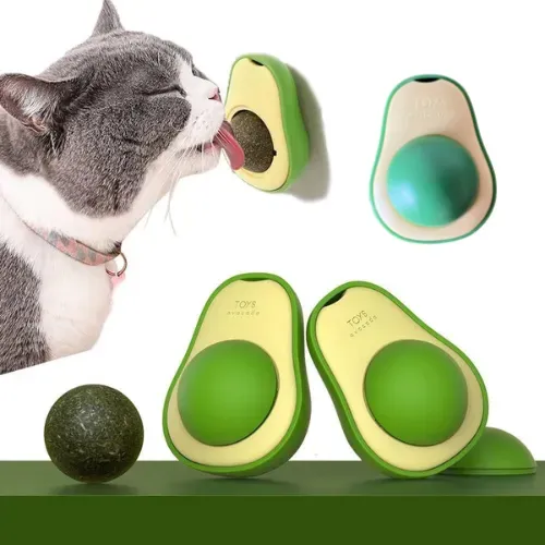 Abacate catnip para gatos
