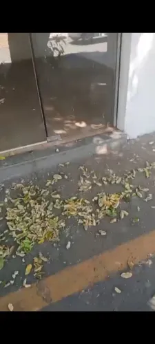 Sala comercial escritório