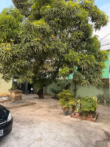 Aluguel de casa na alameda paulista 