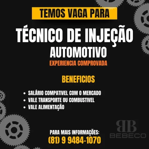 Eletricista de Auto/Téc em injeção e Eletrônica