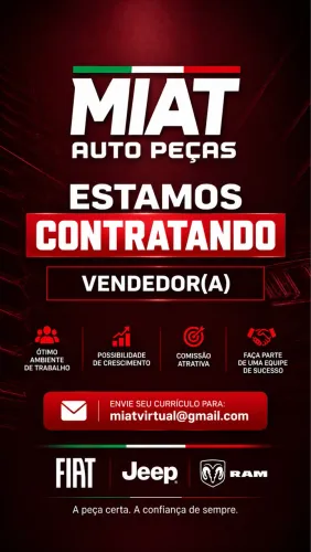 VENDEDOR AUTOPEÇAS