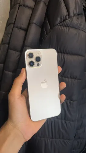 iPhone 12 Pro Max 