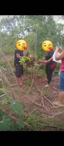 Vendo terreno na estrada Manuel urbano . 
