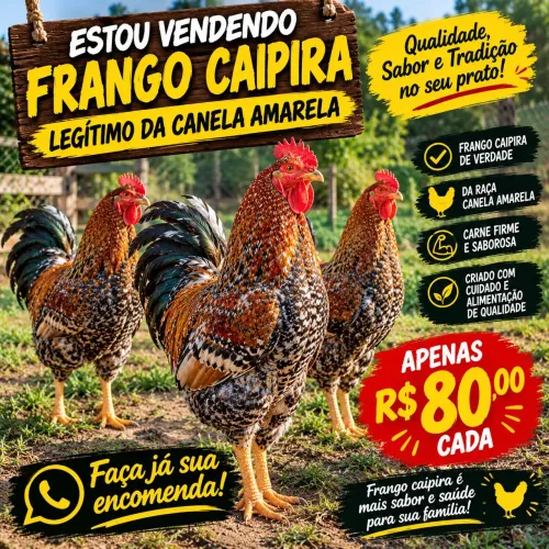 Frango e franga caipira