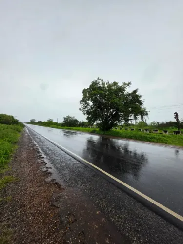 fazenda com 437 hectares em Barauna com mais de 2 km de frente para o asfalto