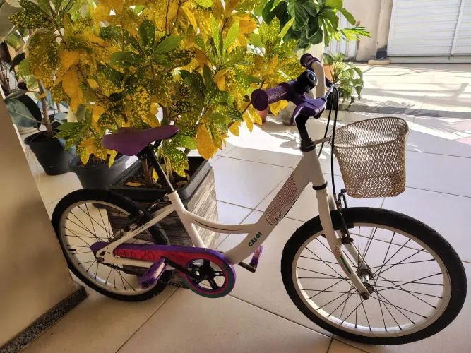 Bicicleta Caloi Original Ceci Aro 20