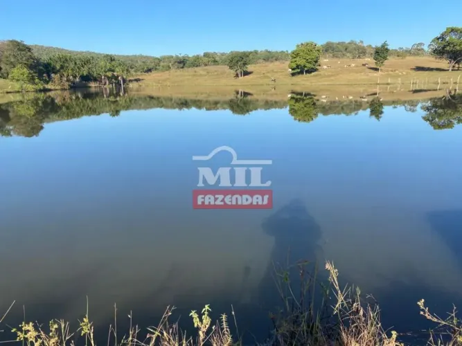 Fazenda 96 alqueires (464,64 hectares) Goianesia - Go