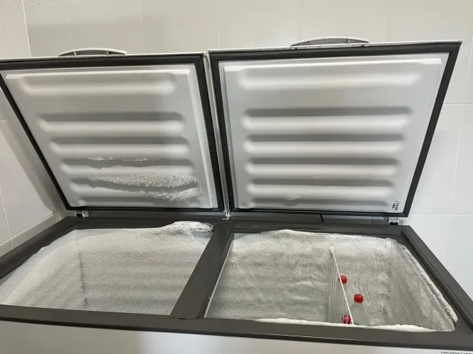 Freezer vertical Consul 110v