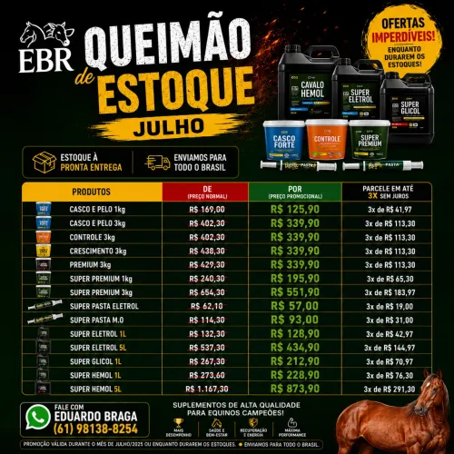 Queima de estoque Cavalo Forte