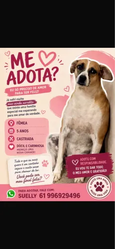 Doação 