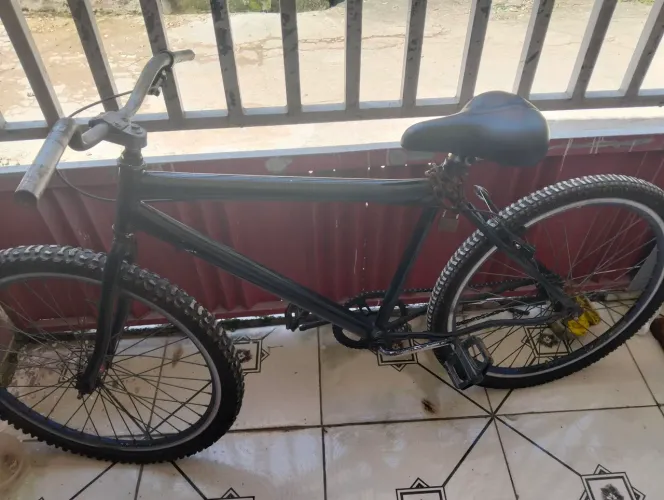 Bicicleta