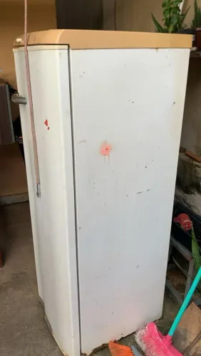 Geladeira 250,00