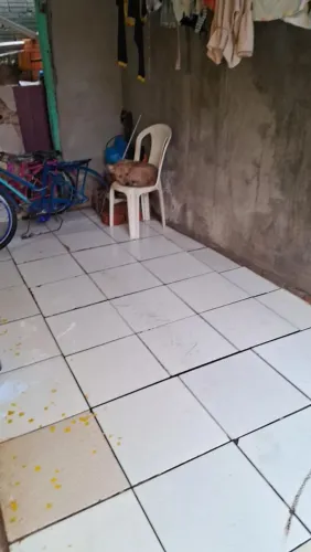 Vendo está casa