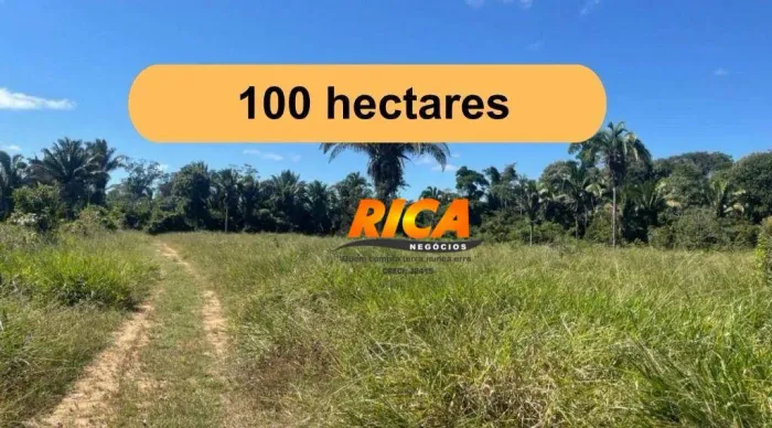 VENDE-SE EXCELENTE FAZENDA COM 100 HECTARES,A 65 KM DE PORTO VELHO/RO - SENTIDO ACRE
